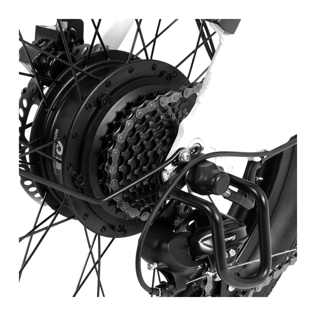DYU C9 - Vit
