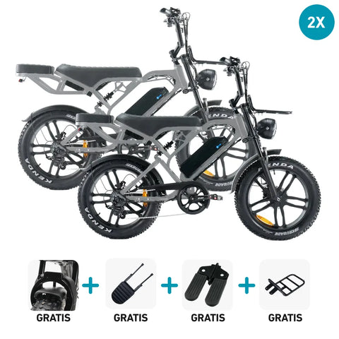 DUO-erbjudande | V20 Pro - Ljusgrå