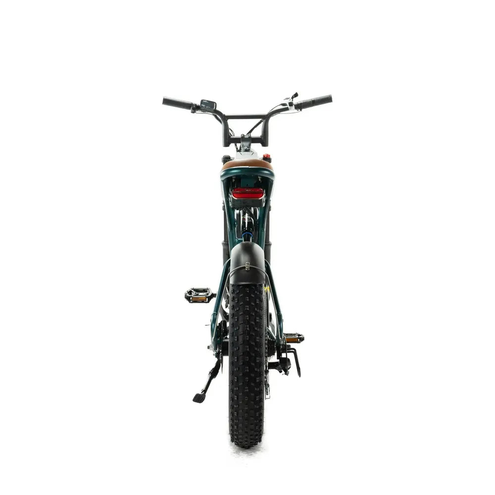 ENGWE M20 - Dubbel Batteri - Grön