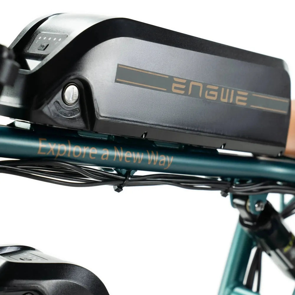 ENGWE M20 - Dubbel Batteri - Grön