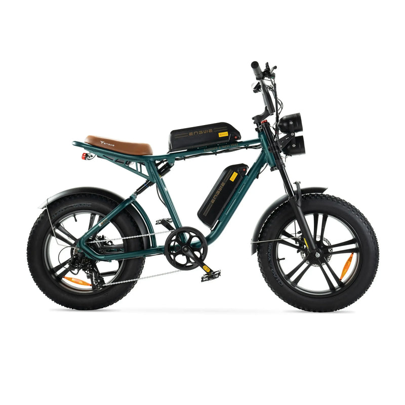 ENGWE M20 - Dubbel Batteri - Grön
