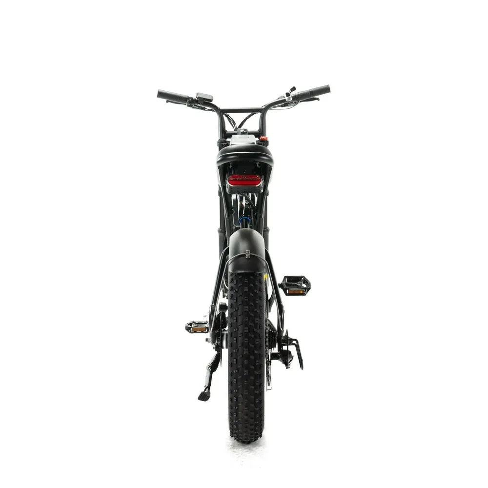 ENGWE M20 - Dubbel Batteri - Svart