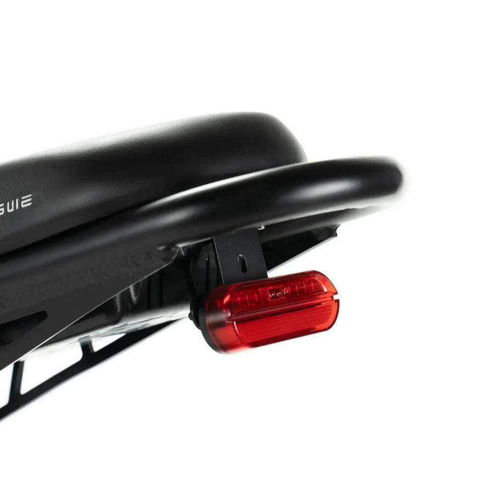 ENGWE M20 - Dubbel Batteri - Svart