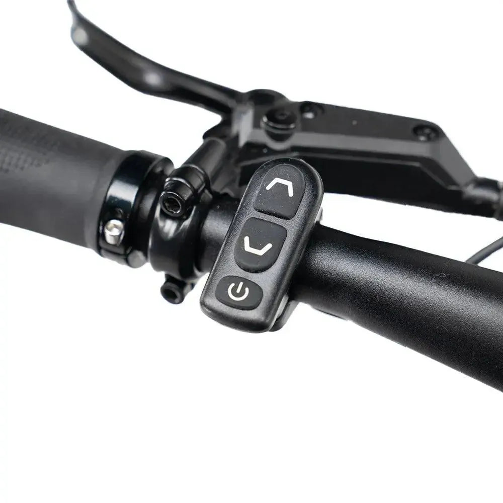 ENGWE Mapfour N1 Pro - Grön