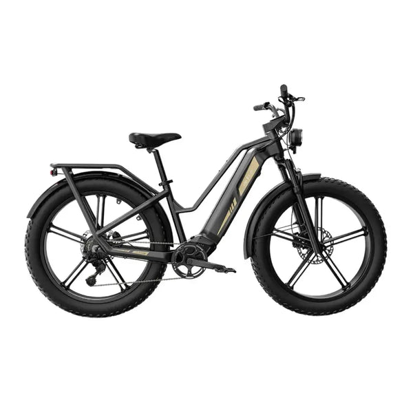 Fiido Titan - Svart