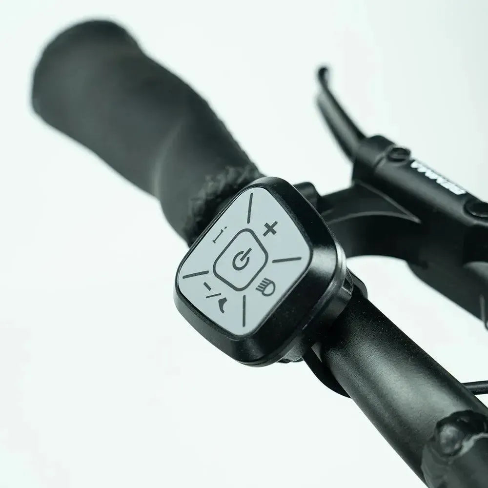 JOBOBIKE Transer - Longtail - Grön