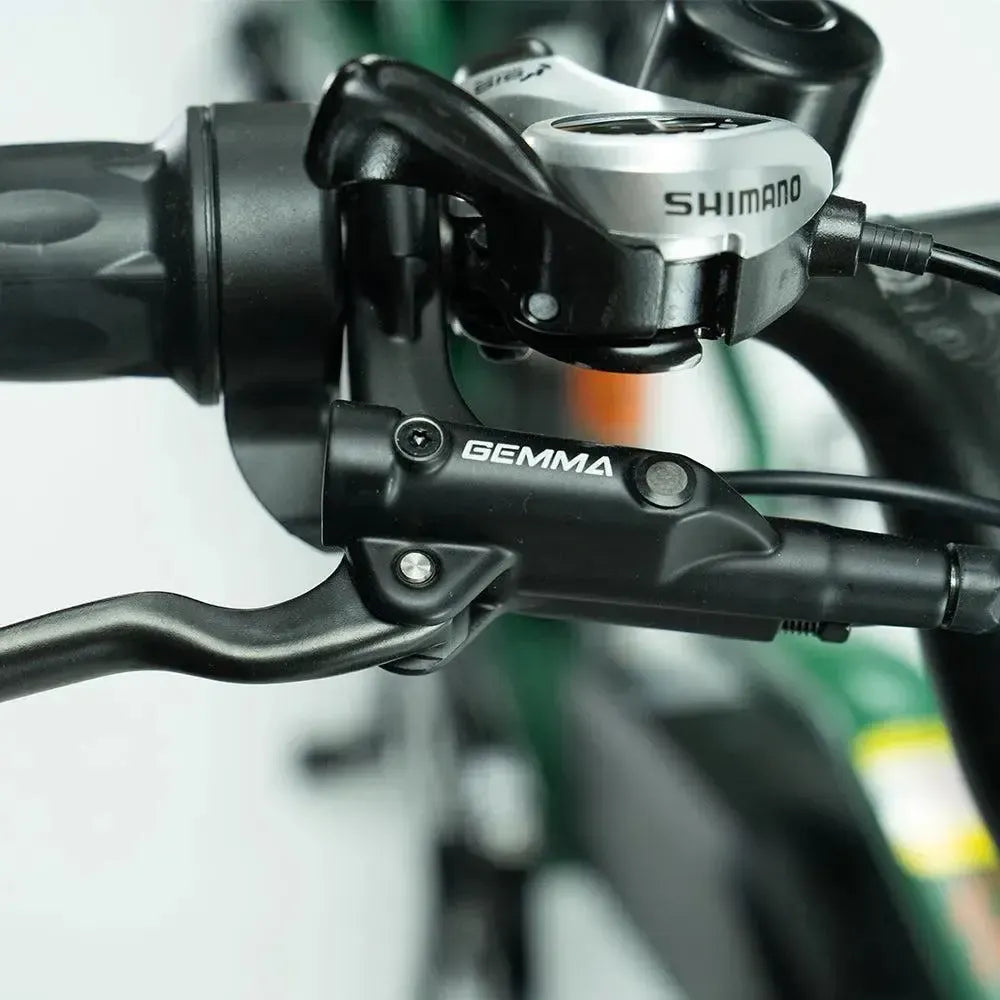 JOBOBIKE Transer - Longtail - Grön