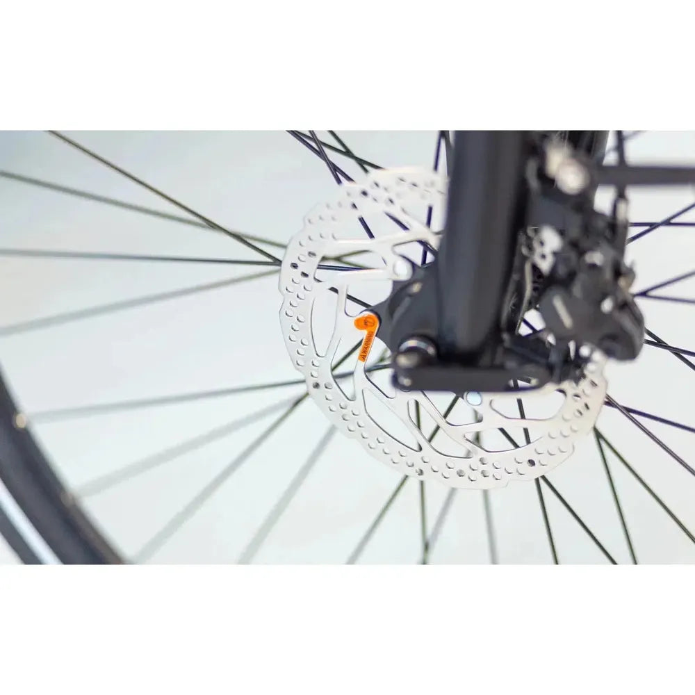 Puch E-Dance ext D8 - Vit