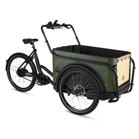 Royal Cargo Bike 3W Premium Plus - Grön